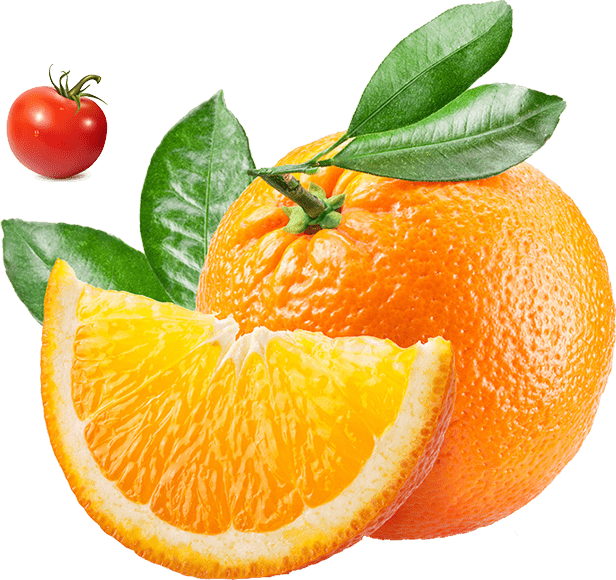 Gıda Ürünlerinde Hedef Pazar Nasıl Belirlenir? İhracatın Başarısı Burada Başlar!